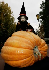 Fancy Dress Prints: Halloween-Citrouille-Insolite
