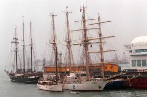 Hkg-Tall Ship