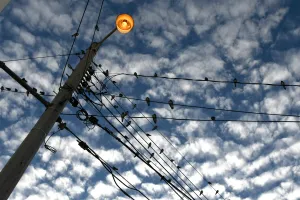 <b class=qtipBold><figcaption>Honduras-Swallows-Feature</figcaption></b><br>Swallows rest on power lines at down in Tegucigalpa, on October 8, 2017. / AFP PHOTO / ORLANDO SIERRA<br><em>© Copyright Agence France-Presse (AFP) - All Rights Reserved</em> Honduras-Swallows-Feature