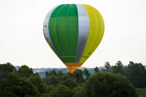 Ballooning Prints: A hot-air balloon raises amongst trees during the 21th European Balloon Festival in Igualada