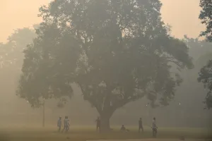 Sport Prints: India - Cricket - Environment