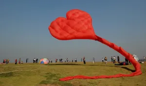 India-Culture-Festival-Kites