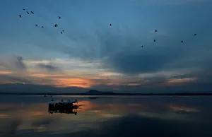 <b class=qtipBold><figcaption>India-Kashmir-Un-Environment-Water</figcaption></b><br>Kashmiri shikara boats wait for customers during sunset on Dal Lake in Srinagar on March 21, 2015. A new UN report launched in New Delhi on March 20 ahead of World Water Day on March 22 warned of an urgent need to manage the world's water more sustainably and highlight the problem of groundwater over-extraction, particularly in India and China. AFP PHOTO/Tauseef MUSTAFA / AFP PHOTO / TAUSEEF MUSTAFA<br><em>© Copyright Agence France-Presse (AFP) - All Rights Reserved</em> India-Kashmir-Un-Environment-Water