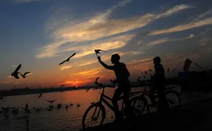 <b class=qtipBold><figcaption>India-Religion</figcaption></b><br>Indian youth feed seagulls as the sun sets at the Sangam, the confluence of the rivers Ganges, Yamuna and the mythical Saraswathi, in Allahabad on December 26, 2013. AFP PHOTO/SANJAY KNOJIA / AFP PHOTO / Sanjay Kanojia<br><em>© Copyright Agence France-Presse (AFP) - All Rights Reserved</em> India-Religion