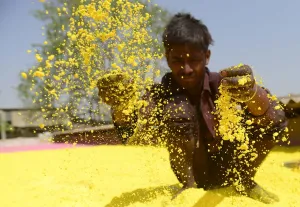 India Prints: India-Religion-Hindu-Holi