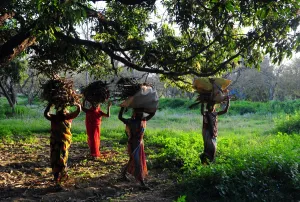 India-Society