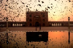 India-Society