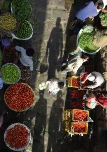 <b class=qtipBold><figcaption>India-Travel-Market</figcaption></b><br>Indian customers shop at a wholesale vegetable market in New Delhi on April 19, 2017. / AFP PHOTO / Prakash SINGH<br><em>© Copyright Agence France-Presse (AFP) - All Rights Reserved</em> India-Travel-Market