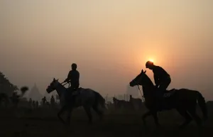 Images Dated 17th July 2016: India-Weather-Fog-Horses