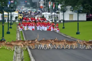 Indonesia-Saudi-Diplomacy-Royals Indonesia-Saudi-Diplomacy-Royals