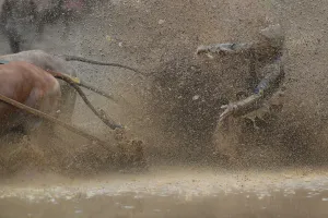 Indonesia-Tradition