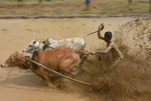 Indonesia-Tradition