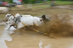 Indonesia-Tradition