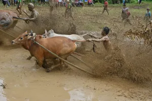 Indonesia-Tradition