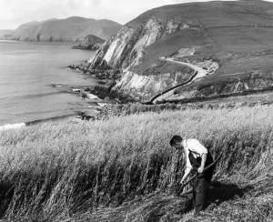 Seaside Prints: Ireland-Feature-Agriculture
