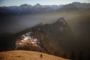 Nature Prints: ITALY-ALPS