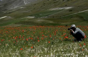 Italy-Feature-Castelluccio-Earthquake