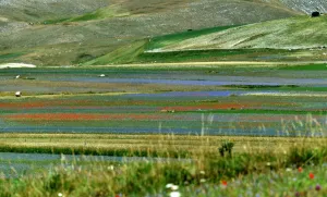 Italy-Feature-Castelluccio-Earthquake