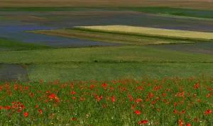 Italy-Feature-Castelluccio-Earthquake
