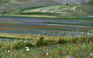 Italy-Feature-Castelluccio-Earthquaks