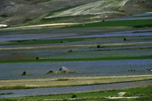 Italy-Feature-Castelluccio-Earthquaks