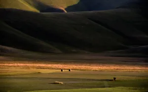Italy-Feature-Castelluccio-Earthquaks