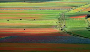 Italy-Tourism-Environment
