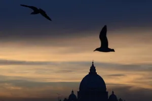 <b class=qtipBold><figcaption>Italy-Vatican-Feature</figcaption></b><br>Seagulls are seen in the sky near the dome of St Peter's basilica at sunset on November 3, 2015 in Rome. AFP PHOTO / FILIPPO MONTEFORTE / AFP PHOTO / FILIPPO MONTEFORTE<br><em>© Copyright Agence France-Presse (AFP) - All Rights Reserved</em> Italy-Vatican-Feature
