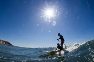 <b class=qtipBold><figcaption>Italy-Weather-Surf-Dog-Feature</figcaption></b><br>Italian SUP rider Federico Piccinaglia surfs a wave with his dog, off Varazze, during a warm spring day, on April 19, 2016. / AFP PHOTO / OLIVIER MORIN<br><em>© Copyright Agence France-Presse (AFP) - All Rights Reserved</em> Italy-Weather-Surf-Dog-Feature