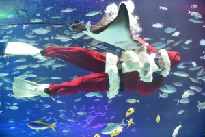 Christmas - Xmas Prints: Japan-Christmas-Aquarium