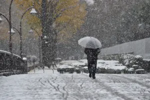 Japan-Weather-Snow Japan-Weather-Snow