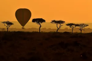 Kenya-Animals-Migration