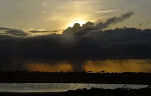 Nature Prints: Kenya-Conservation