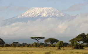 Africa Prints: Kenya-Park-Kilimanjaro