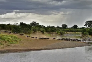 Kenya-Tourism-Migration