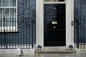Editor's Picks: Larry the Cat, 10 Downing Street