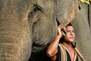 A Mahout poses with his elephant
