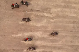 Mahouts Racing Their Elephants