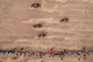 Elephant Prints: Mahouts Racing Their Elephants