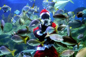 Malaysia-Culture-Christmas Malaysia-Culture-Christmas