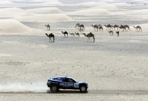 Motor Rallying-Dakar-Schlesser