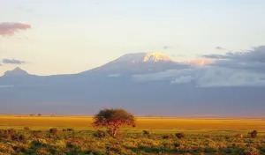 <b class=qtipBold><figcaption>Mount Kilimanjaro Sunset</figcaption></b><br>Mount Kilimanjaro at sunset, from the Amboseli National Park, Kenya. AFP PHOTO GERARD VANDENBERGHE / AFP PHOTO / GERARD VANDENBERGHE<br><em>© Copyright Agence France-Presse (AFP) - All Rights Reserved</em> Mount Kilimanjaro Sunset