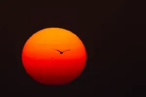 <b class=qtipBold><figcaption>Myanmar-Animal-Environment</figcaption></b><br>Black-headed ibis fly over Moe Yun Gyi Wetland, in Bago Division, about 70 miles north of Yangon on January 28, 2015. Myanmar has one of the world's richest and most diverse endowments of wildlife, but the campaigners fear the country's natural habitats are coming under threat as it begins to develop after years of isolation under military rule. AFP PHOTO / Ye Aung THU / AFP PHOTO / Ye Aung Thu<br><em>© Copyright Agence France-Presse (AFP) - All Rights Reserved</em> Myanmar-Animal-Environment