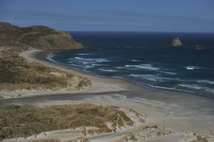 New Zealand Prints: New Zealand-Beach-Feature