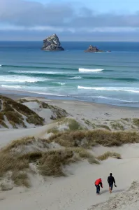 New Zealand Prints: New Zealand-Dunedin-Beach