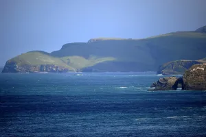 New Zealand-Feature