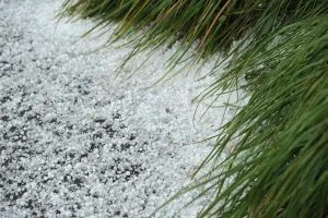 New Zealand-Feature-Weather