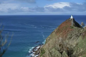 New Zealand Prints: New Zealand-Lighthouse-Nugget Point
