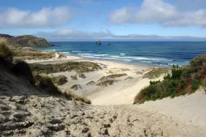 New Zealand Prints: New Zealand-Nature-Beach