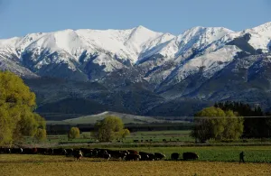 New Zealand-Nature -Mountain New Zealand-Nature -Mountain